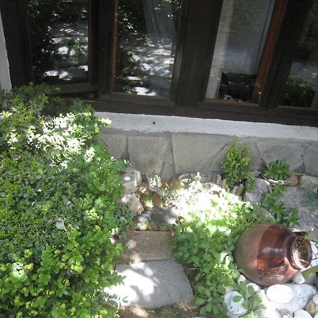 Guest House Voyno 도브리니쉬트 외부 사진