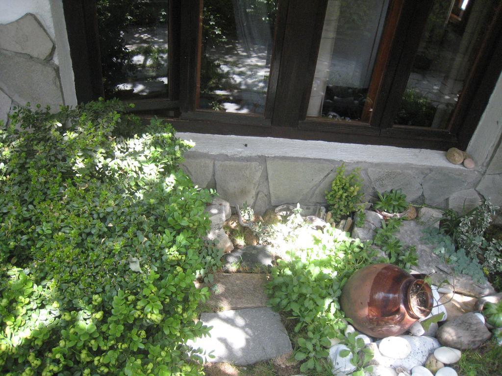 Guest House Voyno 도브리니쉬트 외부 사진